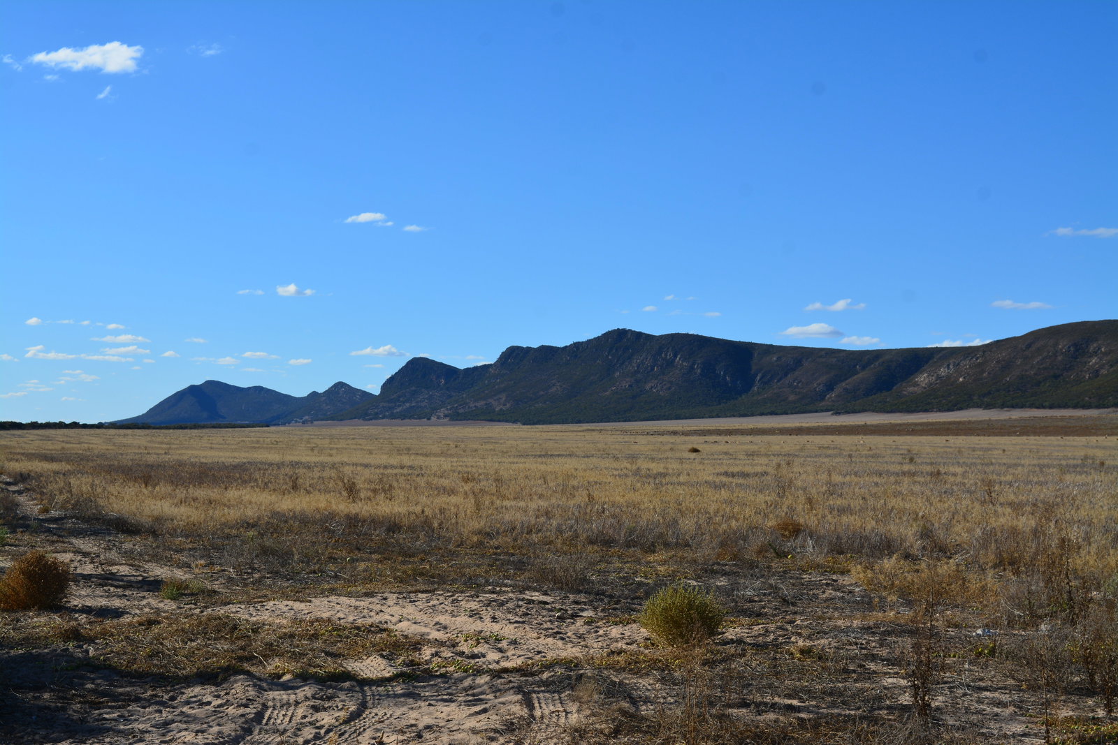 Hambidge ACT Attractions Las Vegas