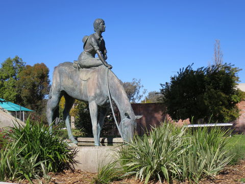 Dorothea Mackellar Memorial Statue - Attractions 0