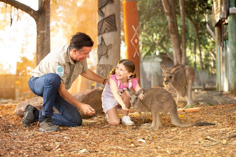 Dreamworld - Attractions 2