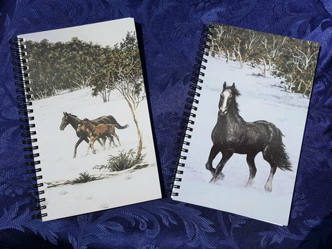 Dungog Arts Society - Attractions 2