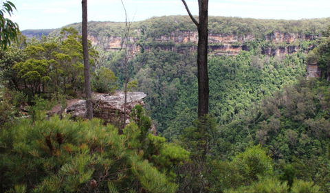 East Rim Wildflower Walking Track - Attractions 0