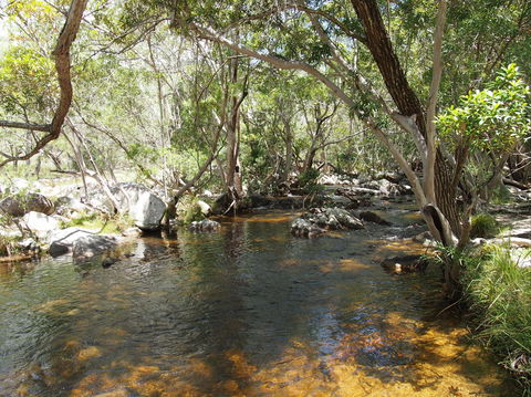 Emerald Creek, Dinden West Forest Reserve - Attractions 1