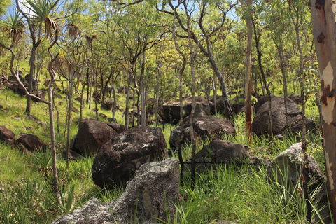 Emerald Creek, Dinden West Forest Reserve - Attractions 2
