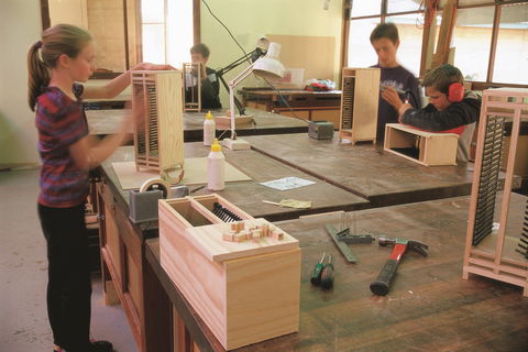 Forest Discovery Centre - Attractions 1