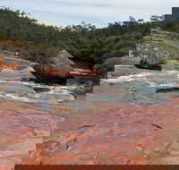 FR Berry Reserve - Attractions