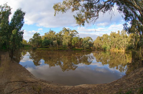 Gemmill Swamp Wildlife Reserve - Attractions 1