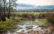Gemmill Swamp Wildlife Reserve - thumb 2