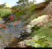 Gold Panning Deep Creek - Attractions