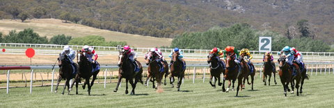 Goulburn And District Racing Club - Attractions 1