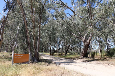 Gunbower Island Forest Drive - Attractions 2