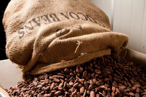 Haigh's Chocolates Visitor Centre - Attractions 2