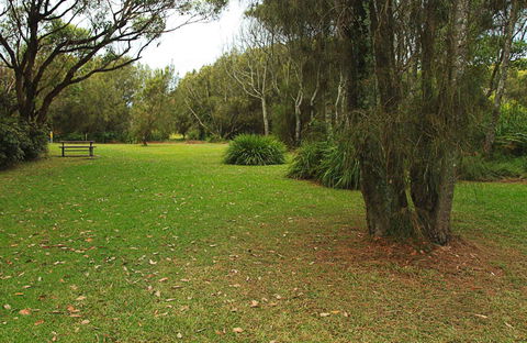 Hammerhead Point Picnic Area - Attractions 0