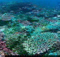 Hanging Rock Dive Site - Attractions