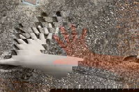 Hands of Fame Park