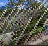 Herring Island Environmental Sculpture Park - Attractions