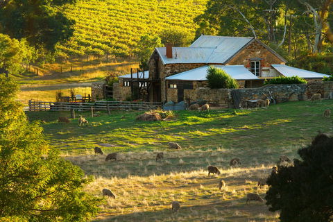 Hutton Vale Farm - Attractions 1