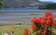 Inverawe Native Gardens - thumb 1