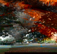 Jubilee Park Mackay - Attractions