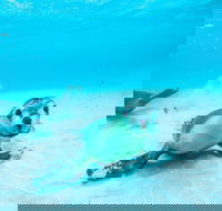Jurien Bay - Attractions