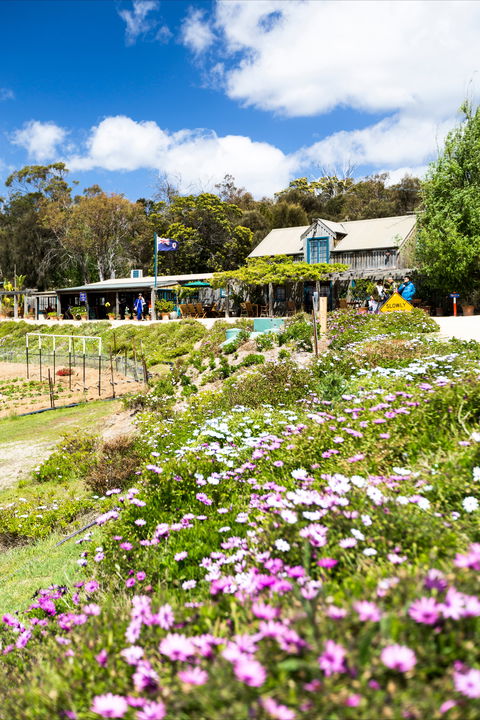 Kate's Berry Farm - Attractions 0
