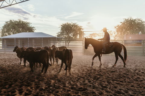 Katherine Outback Experience - Horse Riding Experience - Attractions 2