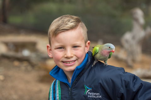 Kyabram Fauna Park - Attractions 2
