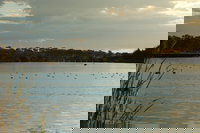 Lake Inverell Reserve