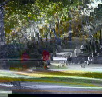 Lake Benalla - Attractions