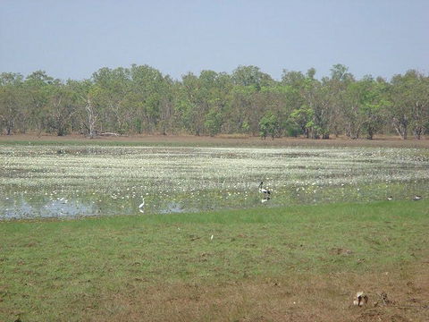 Leaning Tree Lagoon Nature Park - Attractions 1