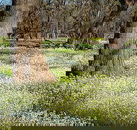 Leaghur State Park - Attractions