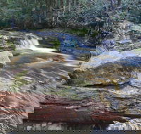 Liffey Falls Reserve - Attractions