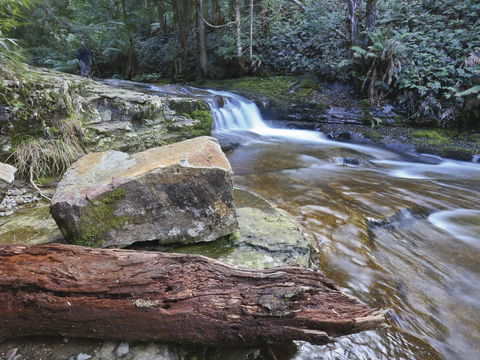 Liffey Falls Reserve - Attractions 0