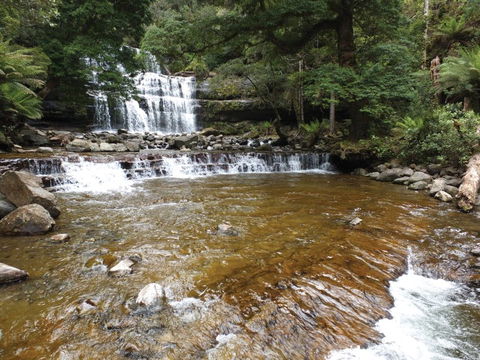 Liffey Falls Reserve - Attractions 1