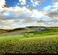 Lions Park Hodgson Vale - Attractions