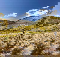 Little Mountain Walking Track - Attractions