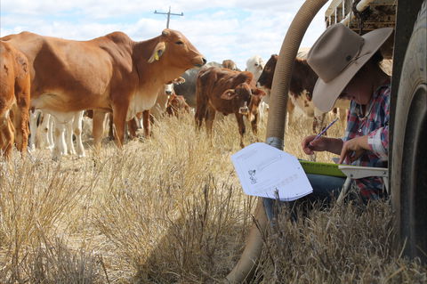 Longreach School Of Distance Education - Attractions 2