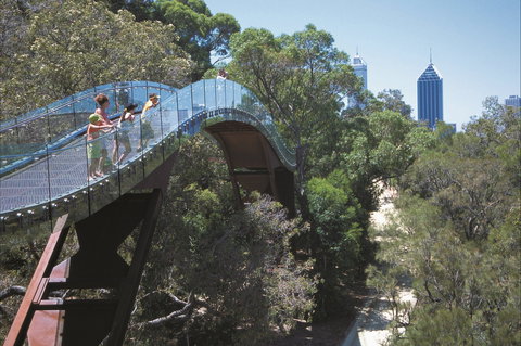 Lotterywest Federation Walkway - Kings Park - See Attractions 1