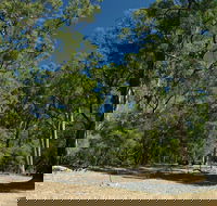 Maidens Tuart Forest - Attractions