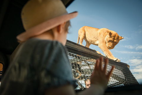 Monarto Safari Park - Attractions 2