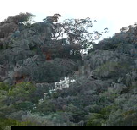 Mount Yarrowyck Nature Reserve - Attractions