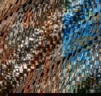 Muirs Lookout - Attractions