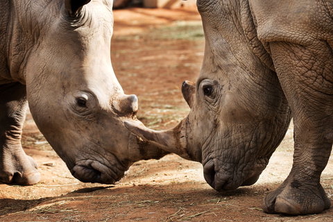 National Zoo & Aquarium - Attractions 0