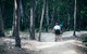 Nerang Mountain Bike Trails - thumb 2