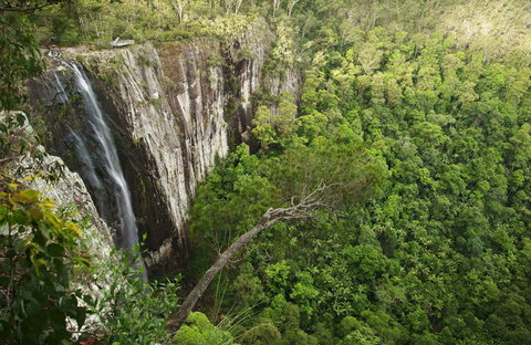 Nightcap National Park - Attractions 0