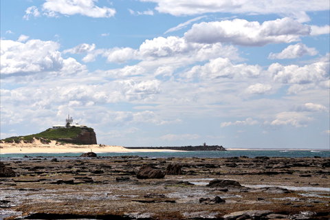 Nobbys Beach - Attractions 1