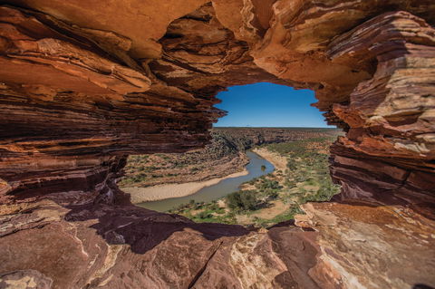 Northern Explorer Wildflower Trail - Attractions 0