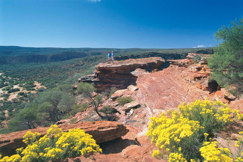 Northern Explorer Wildflower Trail - Attractions 1