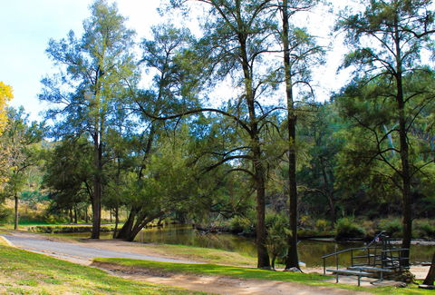 Ophir Reserve - Attractions 1