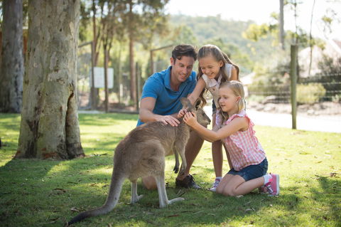 Paradise Country - Attractions 2