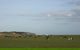 Port Campbell - thumb 2